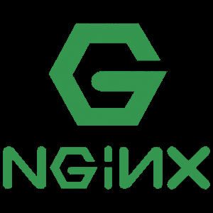 enable-nginx-debug-logging