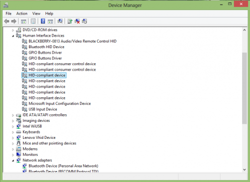 Ein Screenshot des Windows-Geräte-Managers mit Blick auf die Human Interface Devices Abschnitt